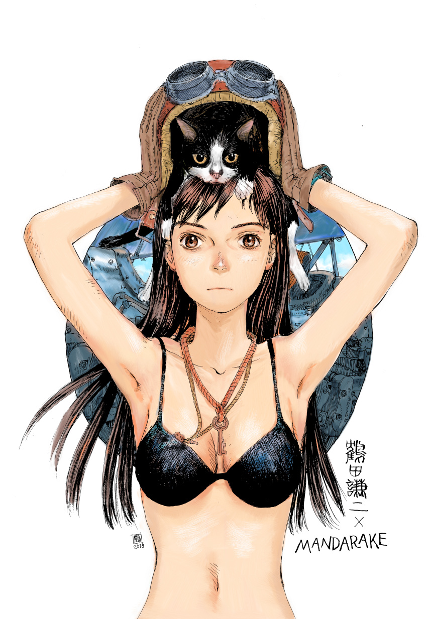 1girl absurdres animal_on_head artist_logo artist_name bikini black_bikini bouken_erekite-tou breasts brown_eyes brown_gloves brown_hair cat cat_on_head cleavage dated gloves goggles helmet highres jewelry key key_necklace long_hair looking_at_viewer navel necklace official_art on_head second-party_source simple_background swimsuit tsuruta_kenji unworn_headwear unworn_helmet upper_body white_background