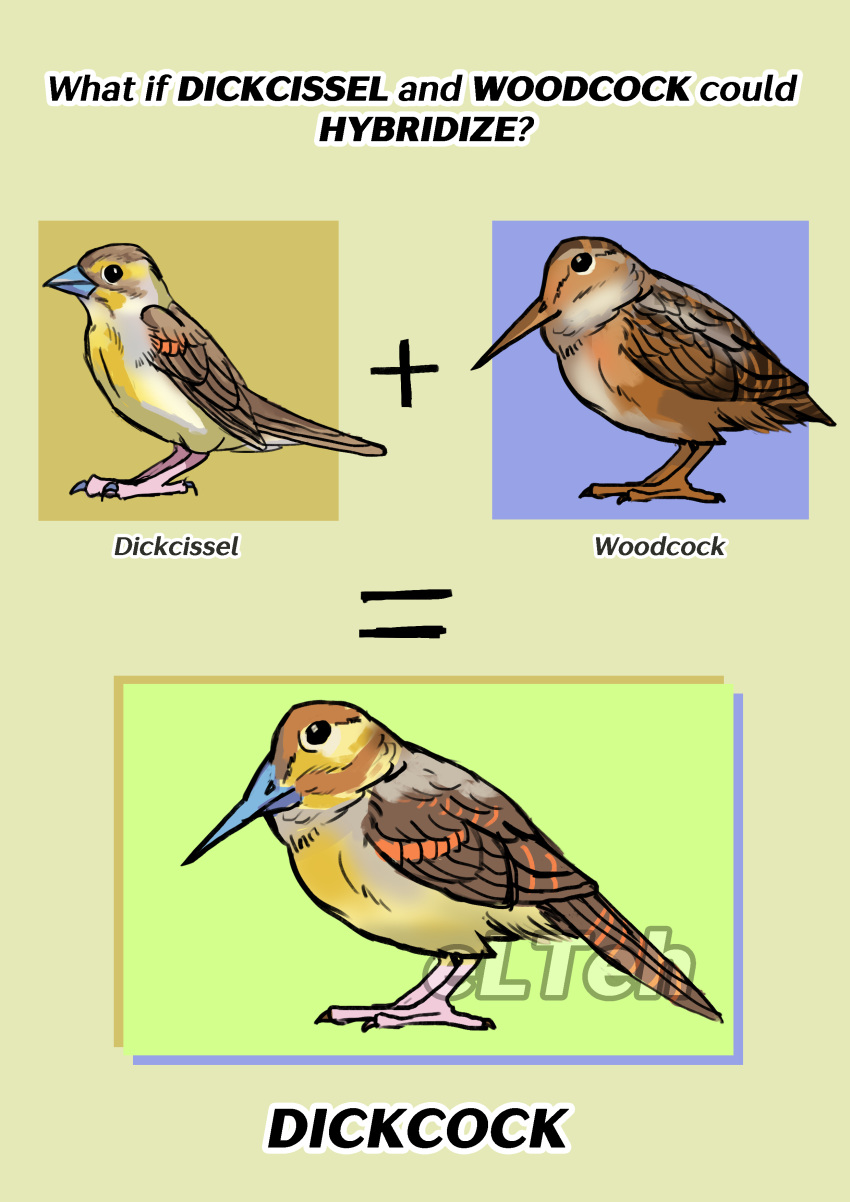 absurd_res ambiguous_gender avian beak biped bird brown_body brown_feathers cardinal_(bird) claws dickcissel eltehh english_text feathered_wings feathers feral hi_res humor hybrid oscine passerine sandpiper shorebird text wings woodcock