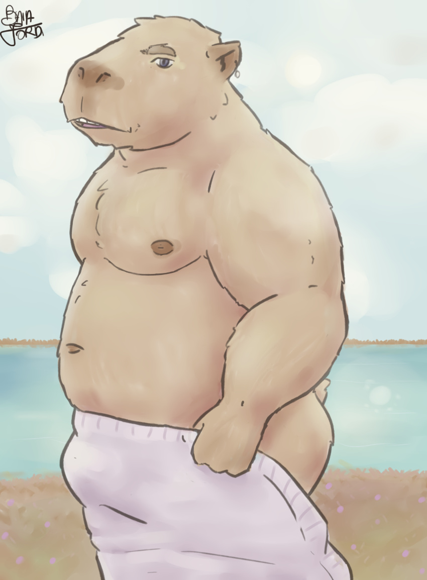 anthro bulge butt capybara caviid half_naked hi_res male mammal muscular muscular_male ordinarysstar outside overweight overweight_anthro overweight_male rodent solo towel water