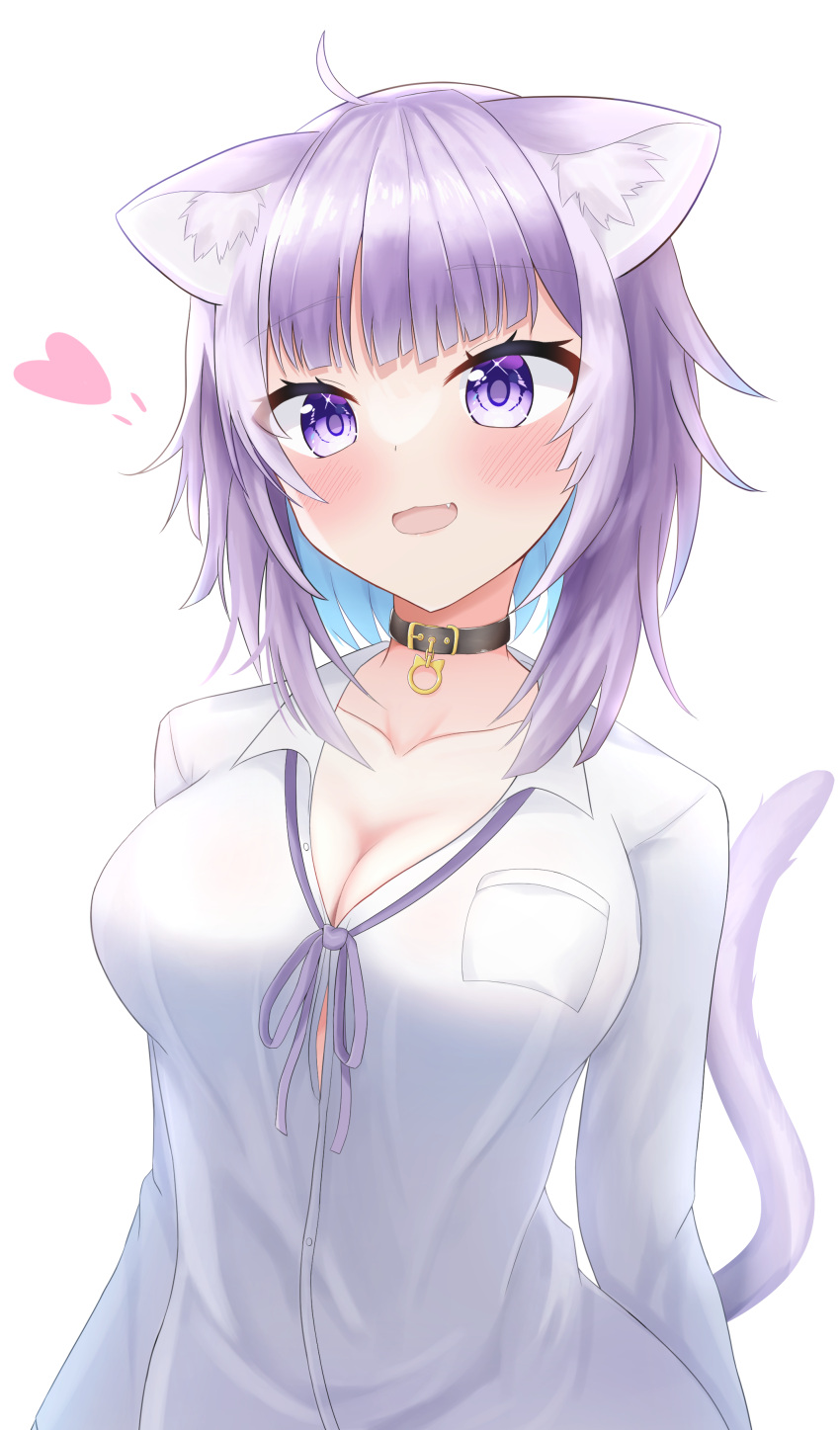 1girl :3 absurdres ahoge animal_collar animal_ear_fluff animal_ears arms_at_sides bangs black_collar blue_hair blush breast_pocket breasts button_gap cat_ears cat_girl cat_tail cleavage collar collarbone collared_shirt colored_inner_hair contrapposto diagonal_bangs dress_shirt fang heart highres hololive hololive_gamers iio_shiozawa large_breasts lipgloss long_sleeves looking_at_viewer medium_hair messy_hair multicolored_hair naked_shirt neck_ribbon nekomata_okayu no_bra open_mouth partially_unbuttoned pocket purple_eyes purple_hair purple_ribbon ribbon shirt simple_background smile solo tail two-tone_hair upper_body virtual_youtuber white_background white_shirt wing_collar