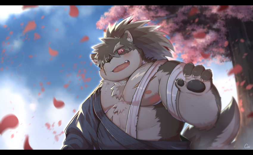 absurd_res anthro belly blush cai_yuwang canid canine canis cherry_blossom domestic_dog fur gesture grey_body grey_fur hair hi_res lifewonders male mammal musclegut nipples pawpads pecs plant ponytail shino_(housamo) smile solo tokyo_afterschool_summoners waving