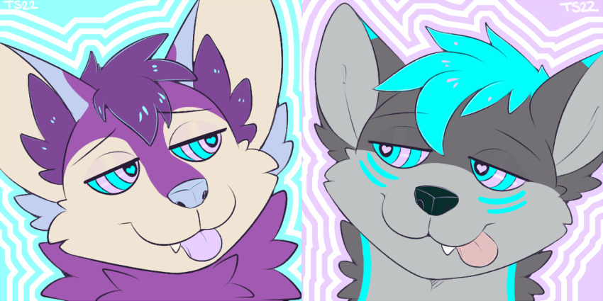 &lt;3 &lt;3_eyes anthro blep canid canine canis digital_media_(artwork) duo fox hypnosis hypnotic_eyes icon kipwolf male male/male mammal mind_control simple_background stardust(shyvrc) taintedstar tongue tongue_out wolf