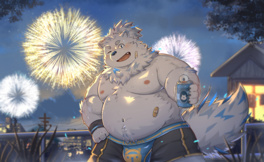 2024 absurd_res anthro band-aid bandage black_nose blush bulge cai_yuwang can canid canine canis clothing container detailed_background domestic_dog hi_res kemono lifewonders live_a_hero male mammal night one_eye_closed outside overweight overweight_male solo underwear white_body wink yohack