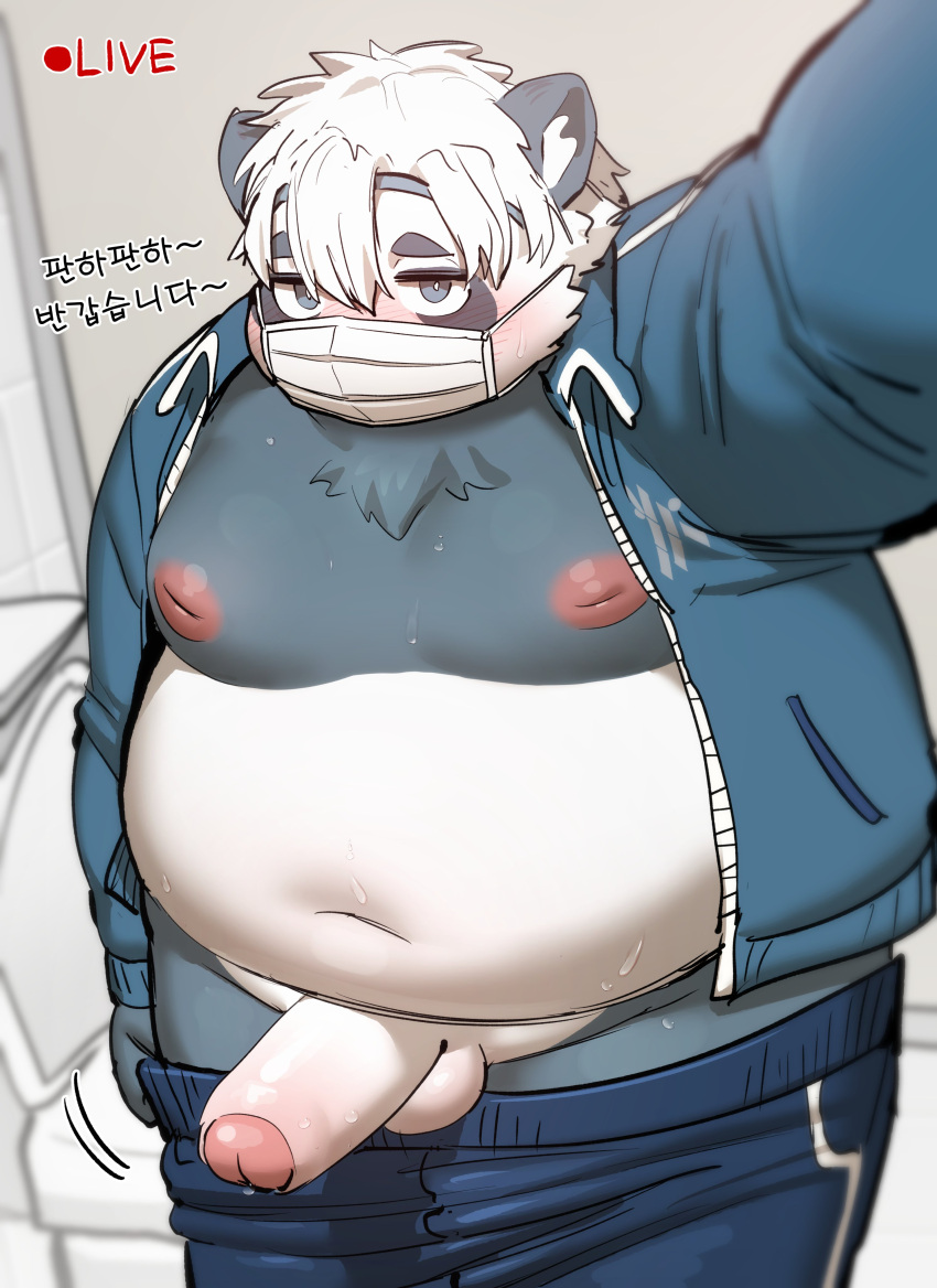 2024 absurd_res anthro balls bear belly big_belly black_body blush bottomwear clothing erection face_mask genitals giant_panda hair hi_res kemono korean_text male mammal moobs navel nipples overweight overweight_male pants penis solo ssu_open text toilet white_body white_hair