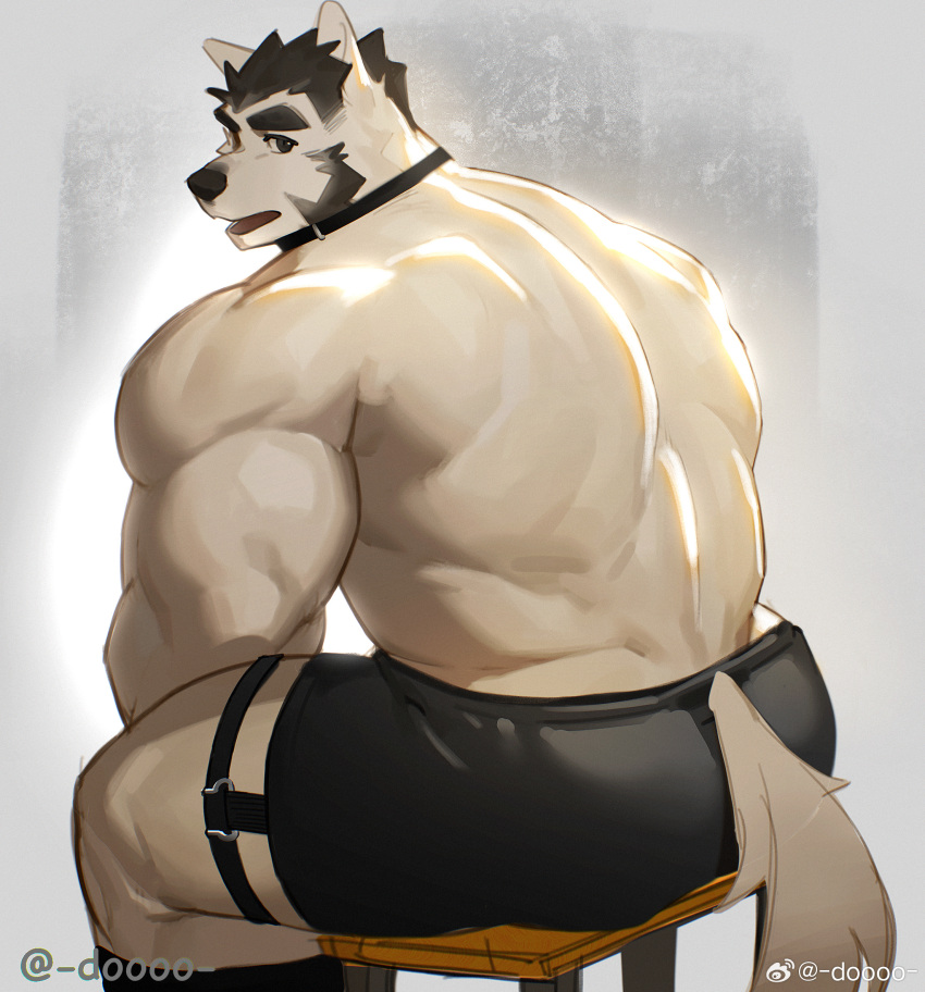 1boy animal_ears ass back_muscles bara dog_boy dog_ears dog_tail doooo_(doooo24) feet_out_of_frame from_behind furry furry_male highres huge_eyebrows looking_at_viewer male_focus mature_male muscular muscular_male mutton_chops original short_hair sitting solo strongman_waist tail thick_thighs thighs topless_male white_fur