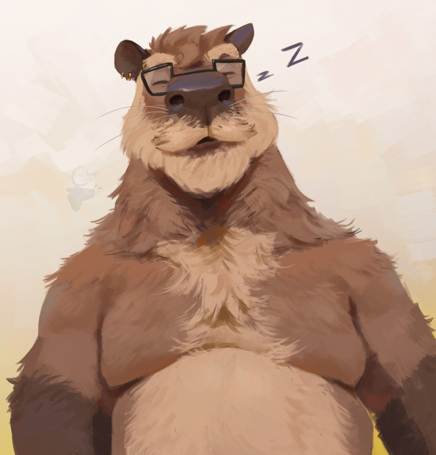 2022 anthro belly biped brown_body brown_fur capybara cariboops caviid eyes_closed eyewear fur glasses hi_res male mammal mature_male moobs overweight overweight_male rodent sleeping solo