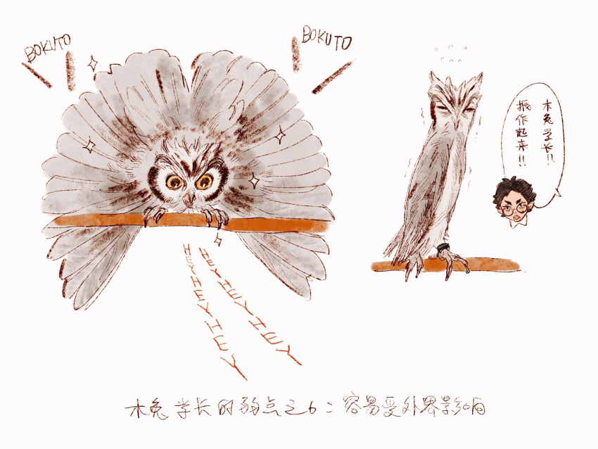 1boy akaashi_keiji animal animal_focus animalization bird bokuto_koutarou chengongzi123 commentary english_text haikyuu!! harry_potter_(series) highres mixed-language_text multiple_views owl simple_background speech_bubble symbol-only_commentary white_background wizarding_world