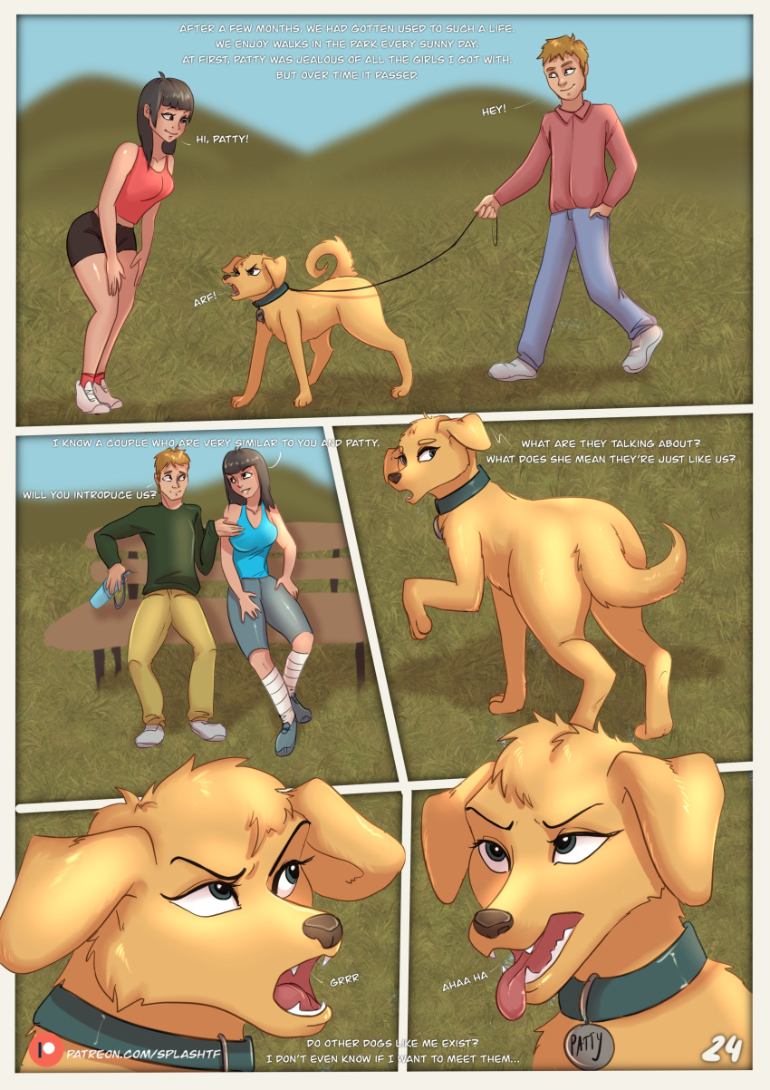 absurd_res after_transformation bird_dog canid canine canis comic domestic_dog female feral group hi_res human hunting_dog male mammal retriever splashtf transformation