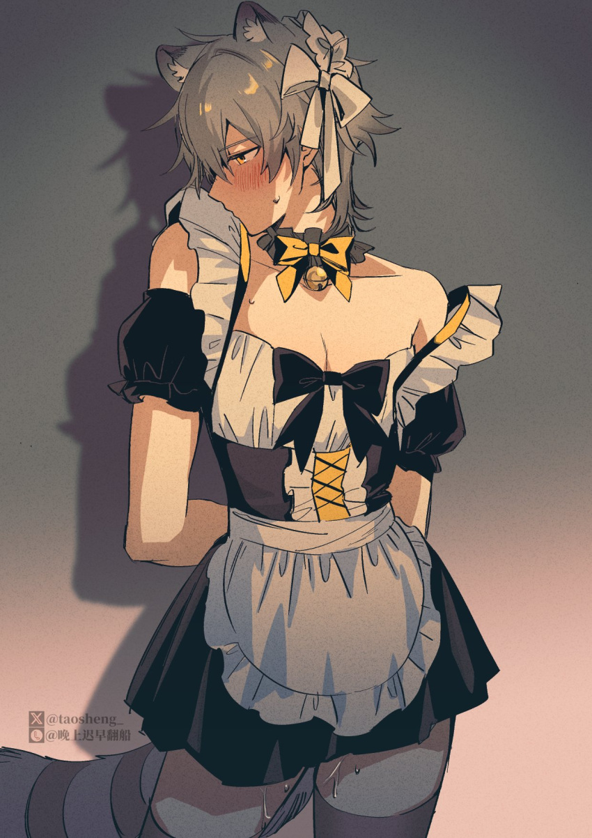 1boy animal_ears apron bell black_dress blush caelus_(honkai:_star_rail) dress grey_hair hair_between_eyes highres honkai:_star_rail honkai_(series) maid maid_apron male_focus otoko_no_ko raccoon_boy raccoon_ears raccoon_tail shirt short_hair solo tail taosheng trailblazer_(honkai:_star_rail) yellow_eyes