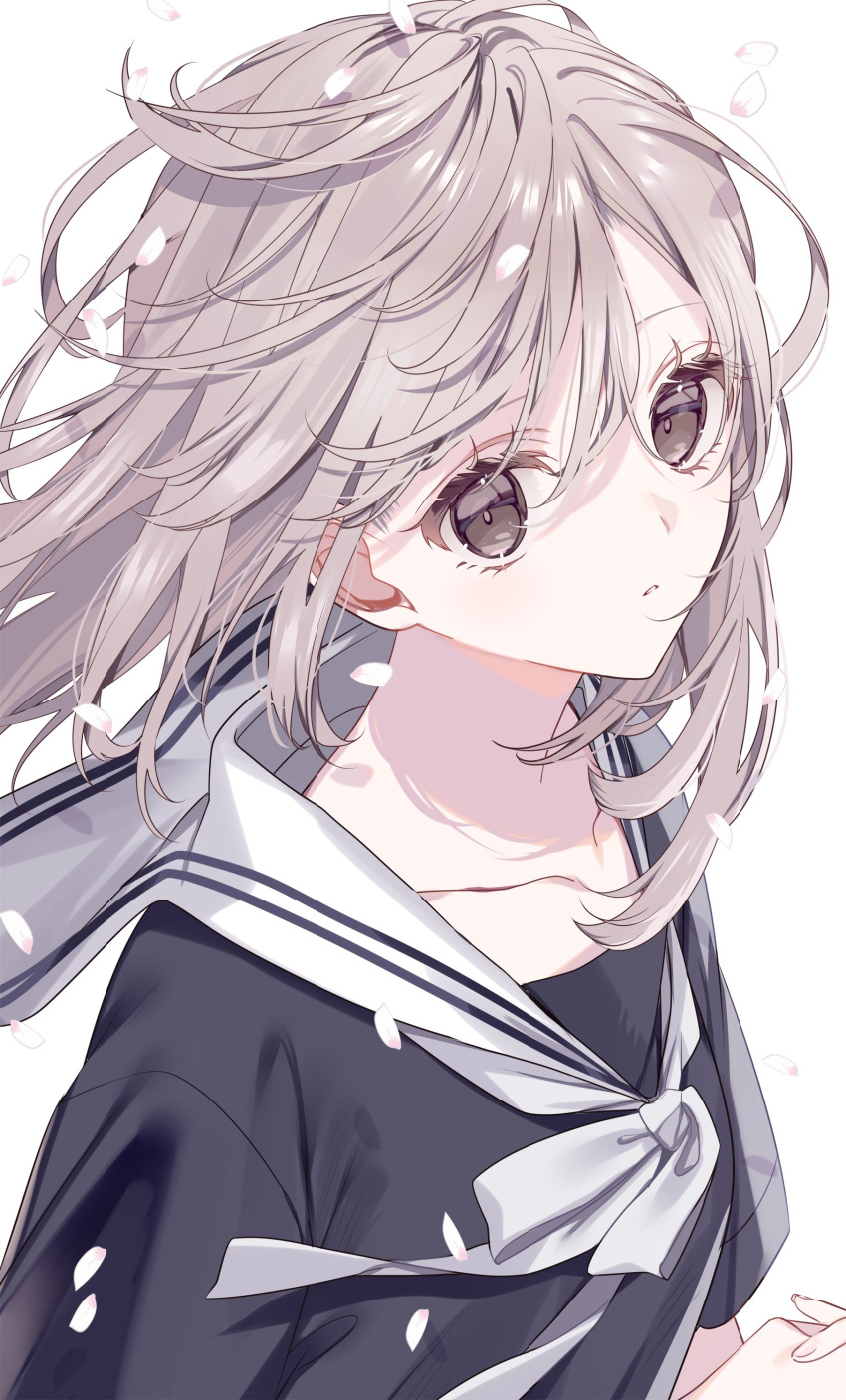 1girl absurdres black_shirt collarbone falling_petals floating_hair from_side grey_eyes grey_hair hair_between_eyes highres long_hair looking_at_viewer misumi_(macaroni) neck_ribbon original own_hands_clasped own_hands_together parted_lips petals ribbon sailor_collar school_uniform serafuku shirt short_sleeves sidelocks simple_background solo upper_body white_background white_ribbon white_sailor_collar