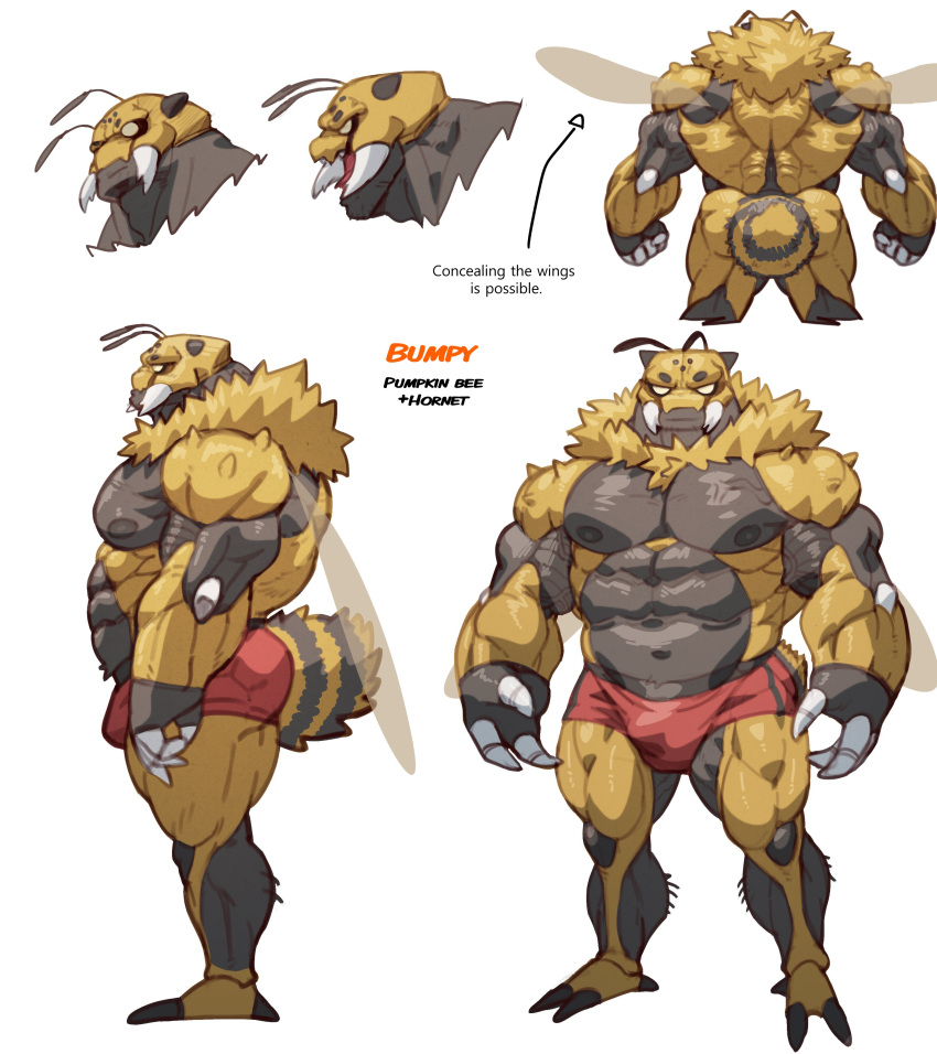 absurd_res antennae_(anatomy) anthro arthropod bee biped bulge hi_res hymenopteran insect male model_sheet muscular muscular_anthro muscular_male navel nipples pecs rear_view solo soonsky_kumu standing tail