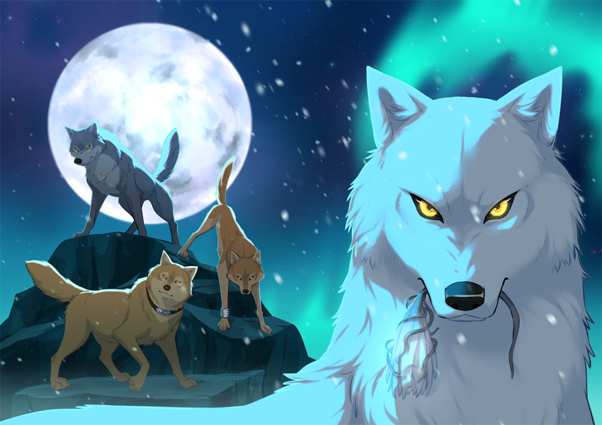 ambiguous_gender aurora_(phenomenon) azzai canid canine canis collar countershading feral flower full_moon fur grey_body grey_fur group hige_(wolf's_rain) holding_flower holding_object kiba_(wolf's_rain) looking_at_viewer male_(lore) mammal moon mouth_hold night outside plant quadruped rock shaded sky snow snowing standing tail tan_body tan_fur toboe_(wolf's_rain) tsume_(wolf's_rain) white_body white_fur wolf wolf's_rain yellow_eyes