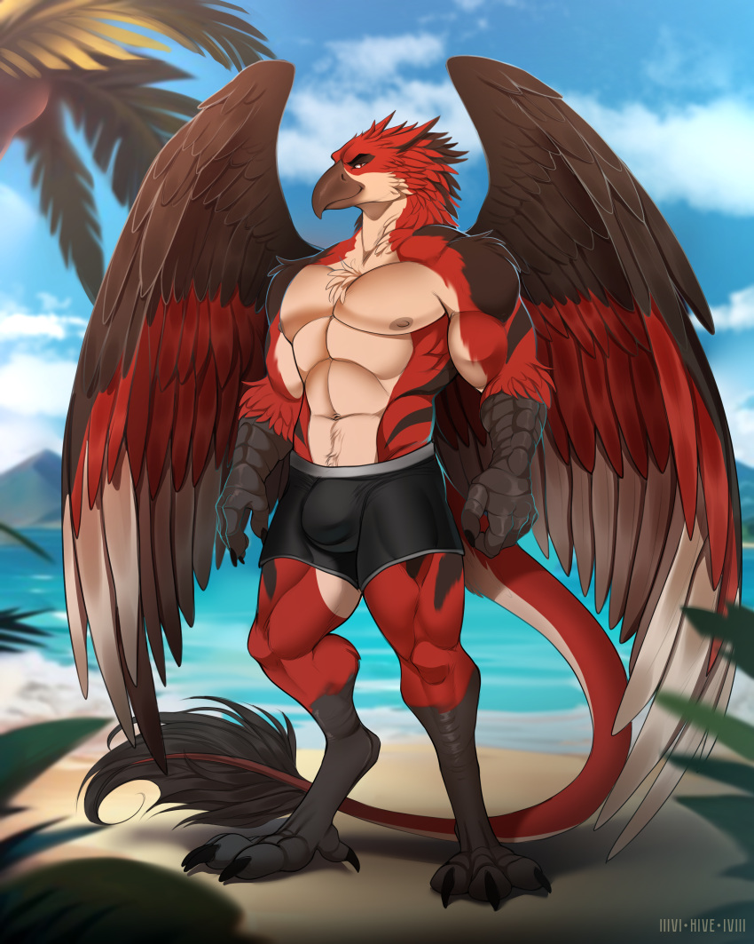 5_fingers abs absurd_res anthro areola artist_logo artist_name avian beach beak biceps biped black_claws black_clothing black_eyebrows black_markings black_swimming_trunks black_swimwear black_tail_tip bottomwear brown_beak brown_body brown_feathers brown_markings bulge claws clothing cloud detailed_background detailed_bulge digital_media_(artwork) dipstick_tail eyebrows feathered_wings feathers feet fingers grey_feet grey_hands gryphon hi_res hive43 logo looking_at_viewer male markings muscular muscular_anthro muscular_male muscular_thighs mythological_avian mythological_creature mythology navel nipples orange_eyes outside palm_tree pecs plant pupils red_body red_feathers red_tail sand sea seaside sky slit_pupils solo standing swimming_trunks swimwear tail tail_markings toe_claws toes tree water white_body white_feathers white_tail wings