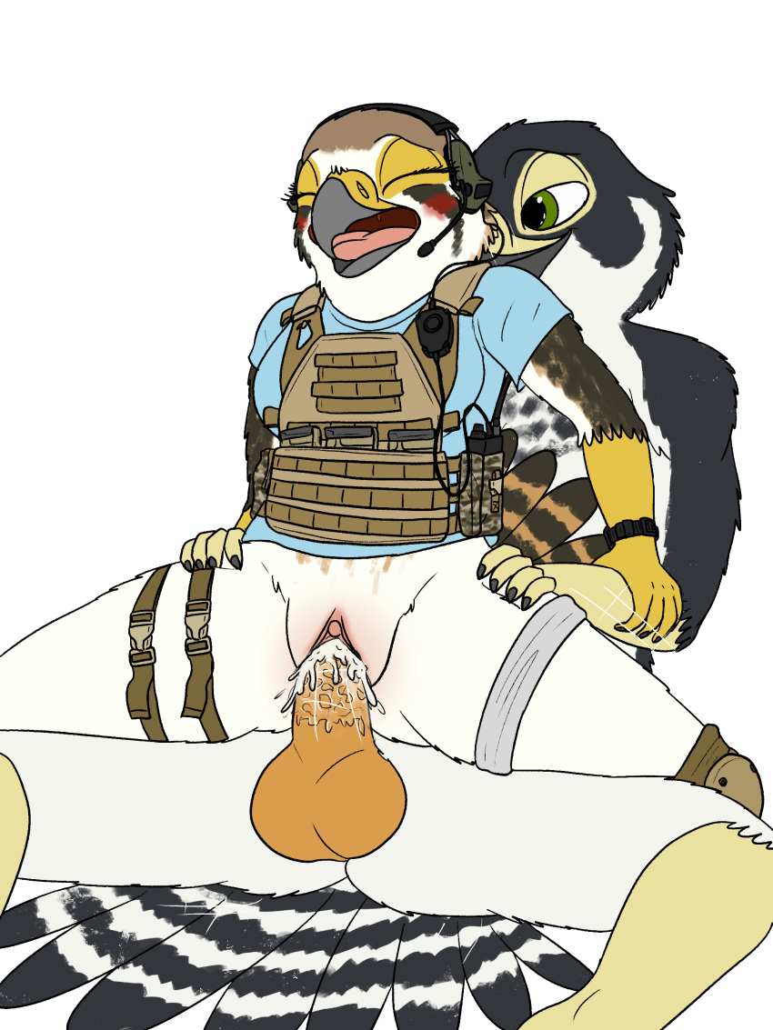 absurd_res american_kestrel anthro aroused avian bird blush bodily_fluids bottomless bottomless_female bulletproof_vest clitoris clothed clothing cum cum_in_pussy cum_inside cute_expression duo evy_(fish_birb) falcon falconid female fish_birb genital_fluids genitals headgear headphones headset hi_res kestrel knee_pads male male/female on_bottom on_top orgasm orgasm_face penetration plump_labia pussy reverse_cowgirl_position sex shirt t-shirt topwear vaginal vaginal_penetration
