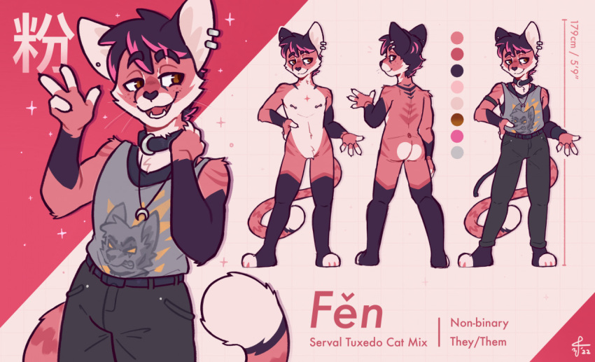 andromorph anthro biped collar domestic_cat felid feline felis fen(spacefluuuf) intersex mammal model_sheet solo spacefluuff