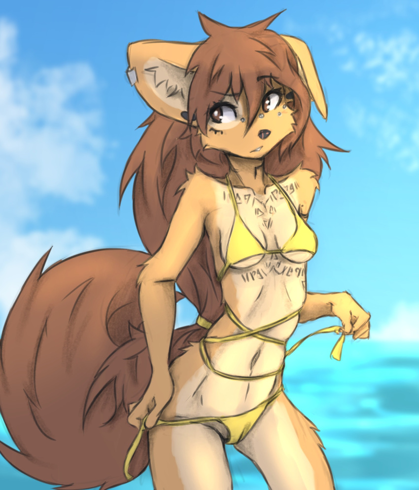 anthro apogee_(tinygaypirate) arm_tuft bikini black_nose breasts brown_body brown_eyes brown_fur brown_hair canid canine canis cheek_tuft cleavage clothed clothing cloud cowlick day domestic_dog ear_piercing elbow_tuft eyebrow_through_hair eyebrows eyelashes facial_markings facial_piercing facial_tuft female floppy_ears fur furgonomics furry-specific_piercing gauged_ear hair head_markings hi_res inner_ear_fluff leg_tuft long_hair looking_aside mammal markings messy_hair mottled mottled_nose muzzle_piercing navel nose_piercing outside piercing pink_nose raised_arm raised_eyebrow slim solo spitz standing swimwear tinygaypirate translucent translucent_hair tuft undressing water