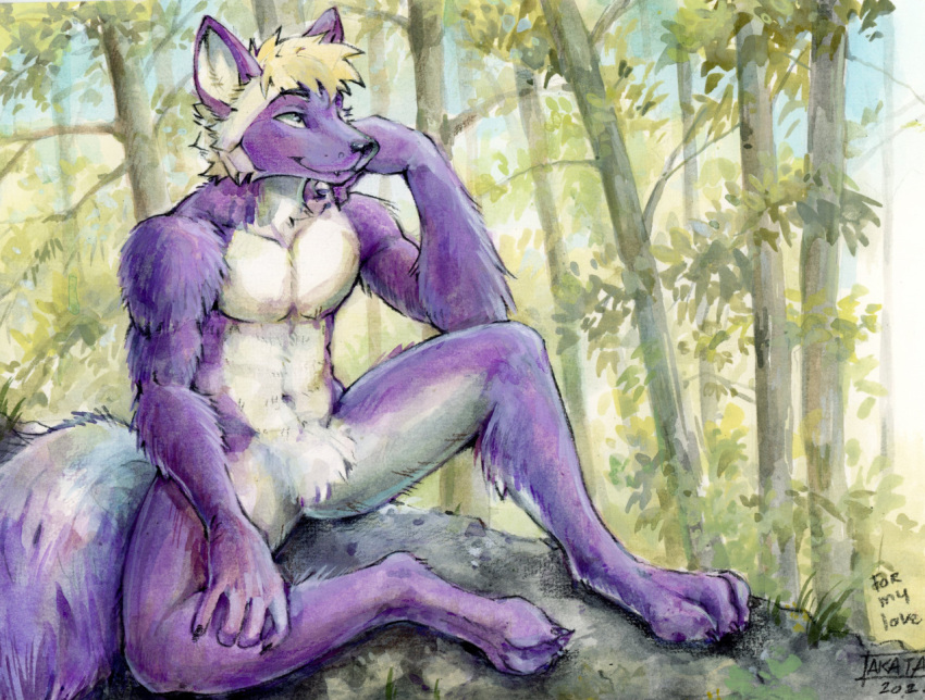 akatan_art anthro blonde_hair canid crotch_tuft digitigrade featureless_crotch forest fur hair male mammal mouth_closed nude outside plant purple_body purple_fur short_hair sitting solo spread_legs spreading traditional_media_(artwork) tree tuft white_body white_fur