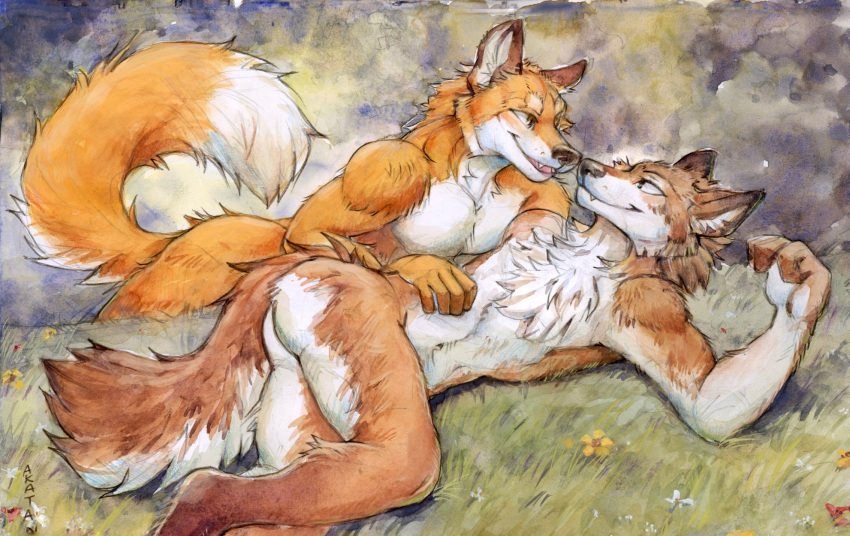 akatan_art anthro anthro_on_anthro brown_body brown_eyes brown_fur brown_nose butt canid cheek_tuft chest_tuft dipstick_tail duo eye_contact facial_tuft fangs fur grass hi_res looking_at_another male male/male mammal markings navel nude open_mouth orange_body orange_fur plant tail tail_markings teeth tuft white_body white_fur