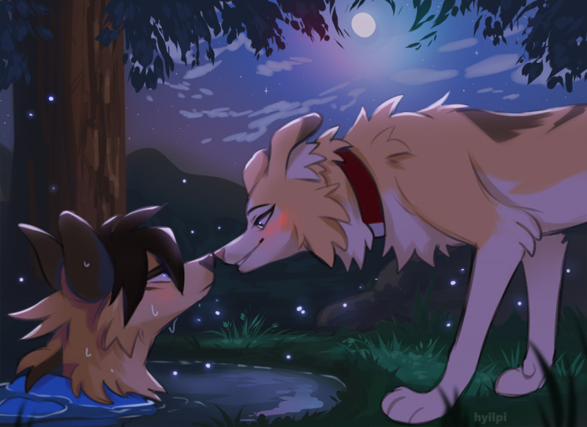 2022 canid canine canis day detailed_background digital_media_(artwork) domestic_dog duo feral forest grass hyilpi mammal moon night outside partially_submerged plant sky smile star starry_sky tree wet