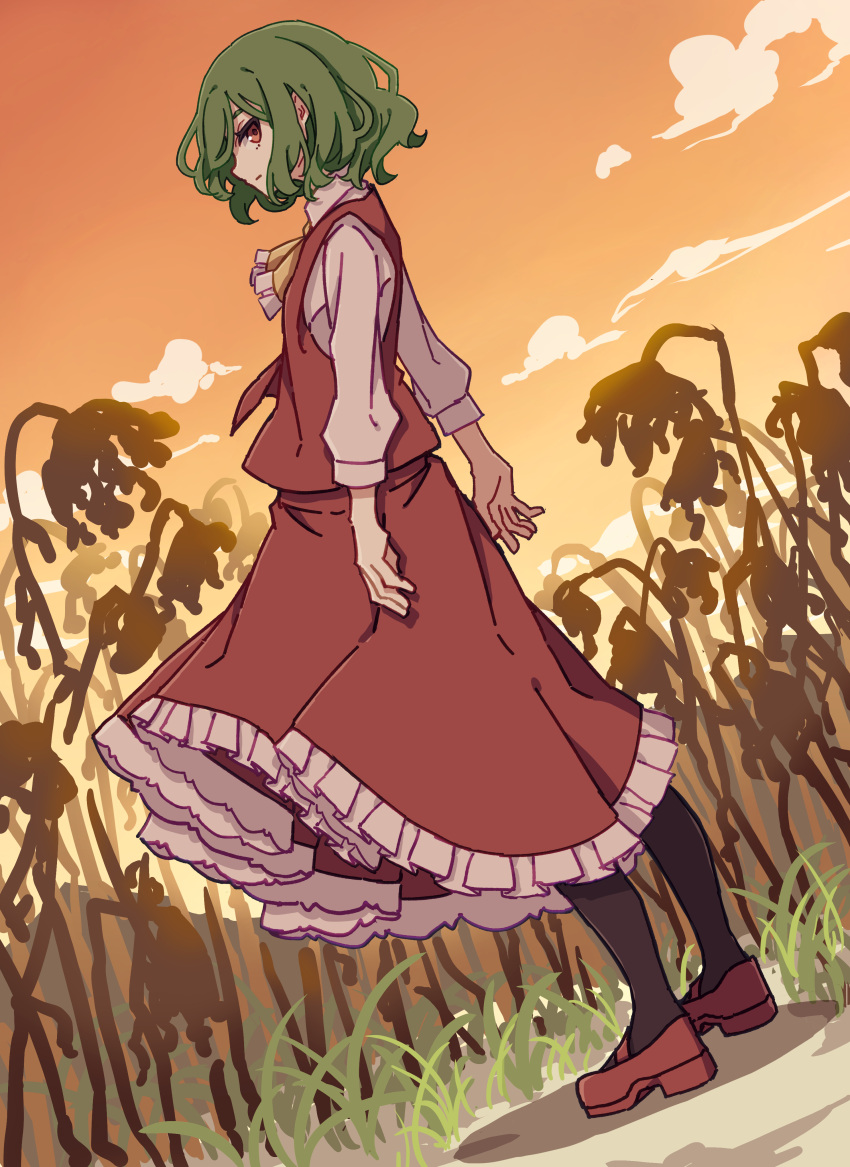 1girl absurdres ascot bangs brown_flower brown_pantyhose closed_mouth cloud cloudy_sky collared_shirt commentary_request flower frilled_skirt frills from_side full_body gradient gradient_sky grass green_hair grey_shirt ground hair_between_eyes highres kame_(kamepan44231) kazami_yuuka long_sleeves looking_at_viewer open_clothes open_vest orange_sky pantyhose puffy_long_sleeves puffy_sleeves red_eyes red_footwear red_skirt red_vest shadow shirt shoes short_hair skirt sky solo standing sunset touhou vest yellow_ascot yellow_sky