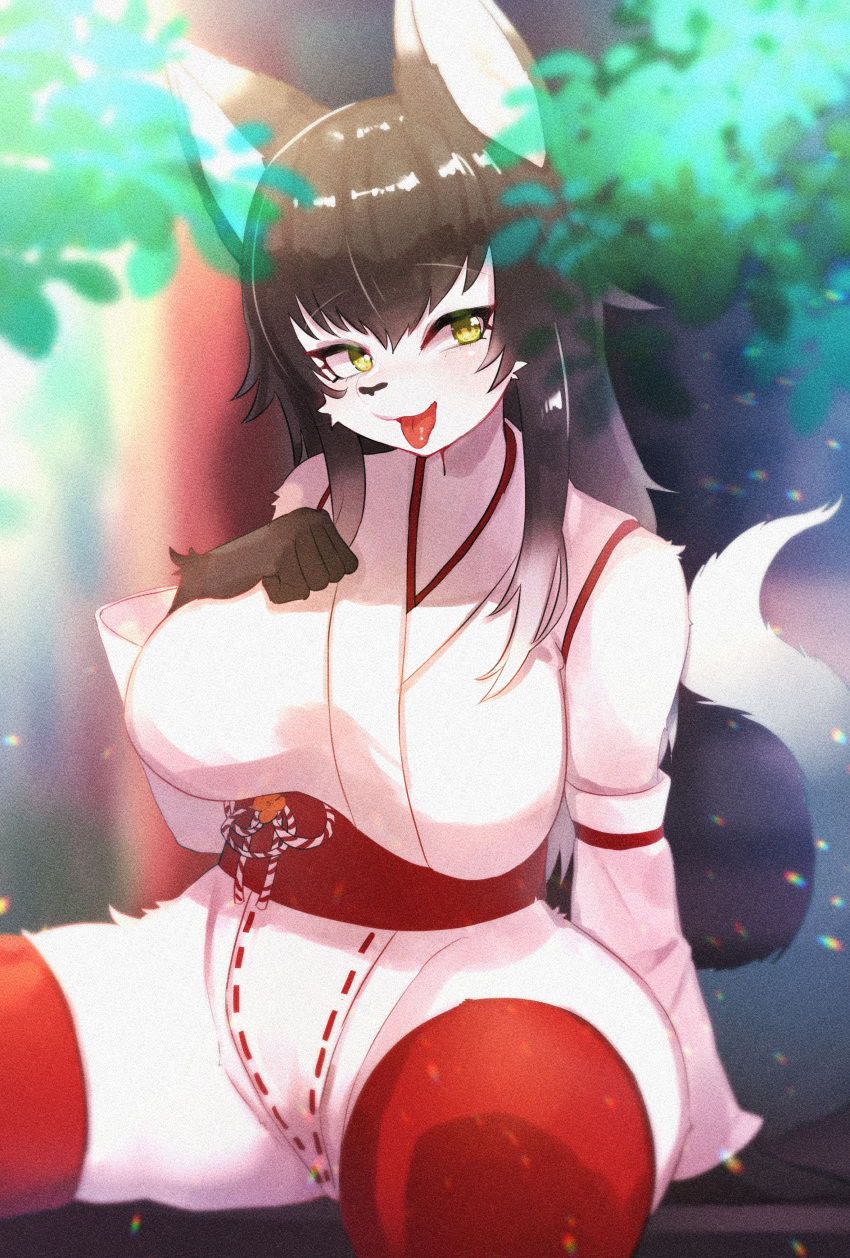 2022 absurd_res anthro asian_clothing big_breasts blush breasts brown_body brown_fur brown_hair camel_toe canid canine clothed clothing east_asian_clothing female fox fur green_eyes hair hi_res japanese_clothing kemono legwear looking_at_viewer mammal miko_outfit onikuman shrine_maiden sitting solo spread_legs spreading thigh_highs tongue tongue_out white_body white_fur