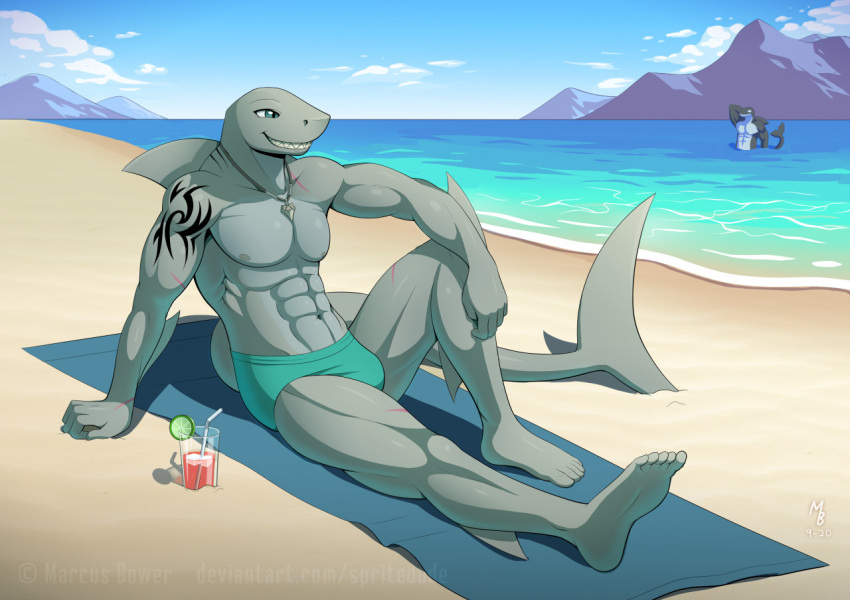 anthro beach beverage cetacean clothing delphinoid dorsal_fin fin fish glass male mammal marine mountain oceanic_dolphin orca sand seaside shark speedo spritedude straw swimwear tattoo thick_tail toothed_whale towel water