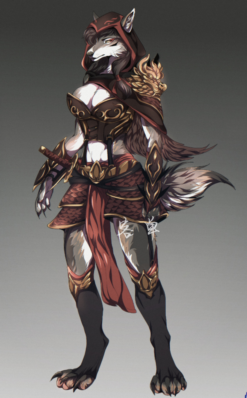 absurd_res anthro armor assassin's_creed canid canine canis coyote female full-length_portrait hi_res kagami_jera mammal model_sheet portrait solo ubisoft video_games were werecanid werecanine werewolf wolf
