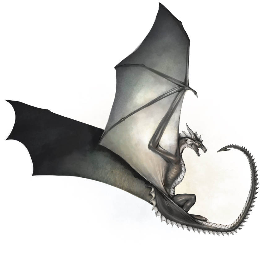 ambiguous_gender dragon ear_frill fangs feral frill_(anatomy) green_eyes grey_body grey_horn grey_wings head_crest head_frill hi_res horn khyaber membrane_(anatomy) membranous_wings neck_frill open_mouth scales scalie side_view simple_background solo spade_tail tail tail_frill teeth white_background white_body white_scales wings