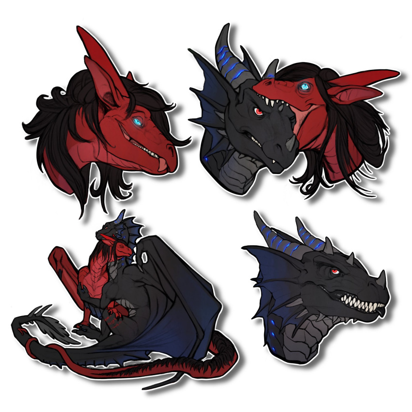 1:1 ambiguous_gender black_hair blue_eyes blue_wings dragon duo ear_frill feral frill_(anatomy) grey_body grey_horn grey_scales grin hair hi_res horn khyaber membrane_(anatomy) membranous_wings multiple_images red_body red_eyes red_horn red_scales red_wings ridged_horn scales scalie simple_background smile white_background wings