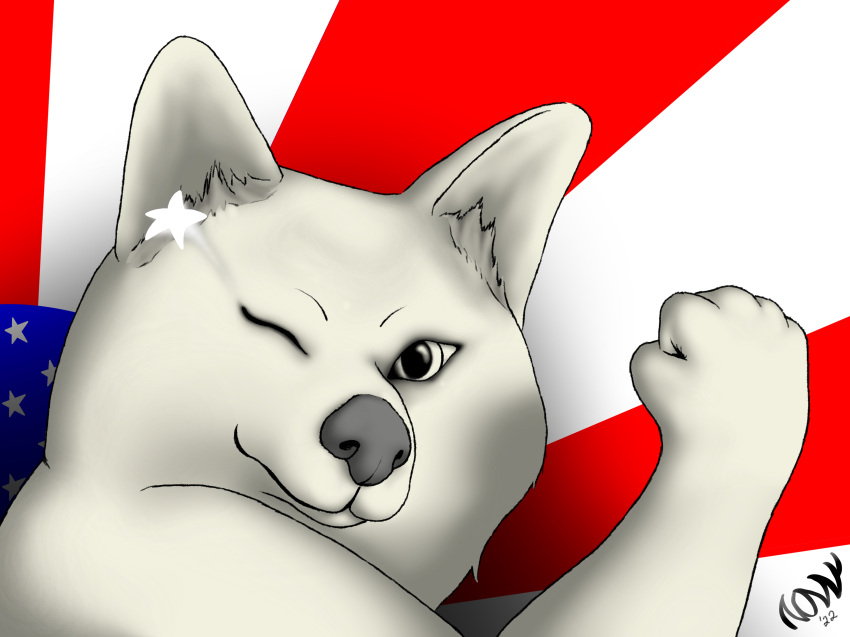 absurd_res ambiguous_gender anthro canid canine canis domestic_dog fist fur grey_nose hi_res mammal nonny18675309 one_eye_closed shiba_inu smile smirk solo spitz stars_and_stripes united_states_of_america white_body white_fur wink