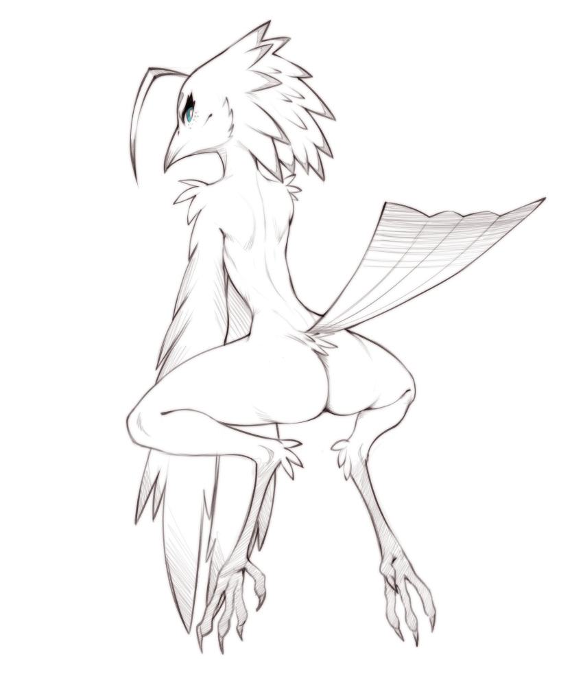 absurd_res anthro avian bird blue_eyes butt feathers female hair hi_res looking_at_viewer lyra_(w4g4) nude potoo presenting simple_background solo tail_feathers talons w4g4