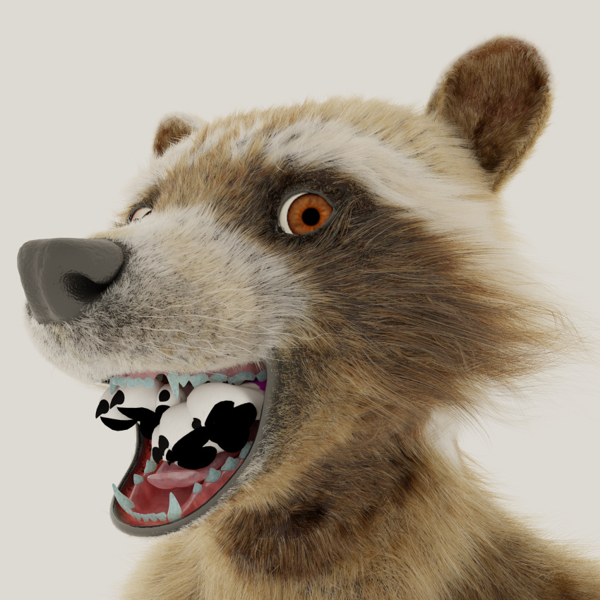 anthro body_part_in_mouth brown_body brown_fur canid canine canis domestic_dog duo fur guardians_of_the_galaxy hi_res husky looking_at_viewer male mammal marvel nordic_sled_dog open_mouth pawpads paws procyonid raccoon rocket_raccoon same_size_vore simple_background smile spitz tawzy vore white_background white_feet