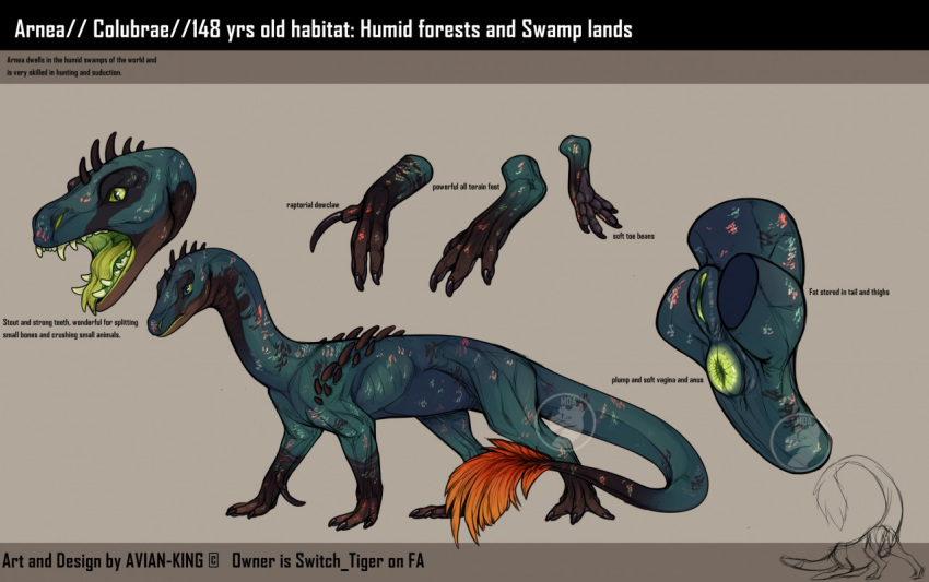 anus avian-king brown custom d dessert doughnut dragon drake_(disambiguation) english_text female feral flightless_dragon food genitals green green_flesh model_sheet plump_anus plump_labia puffy_anus pussy solo spikes spikes_(anatomy) text