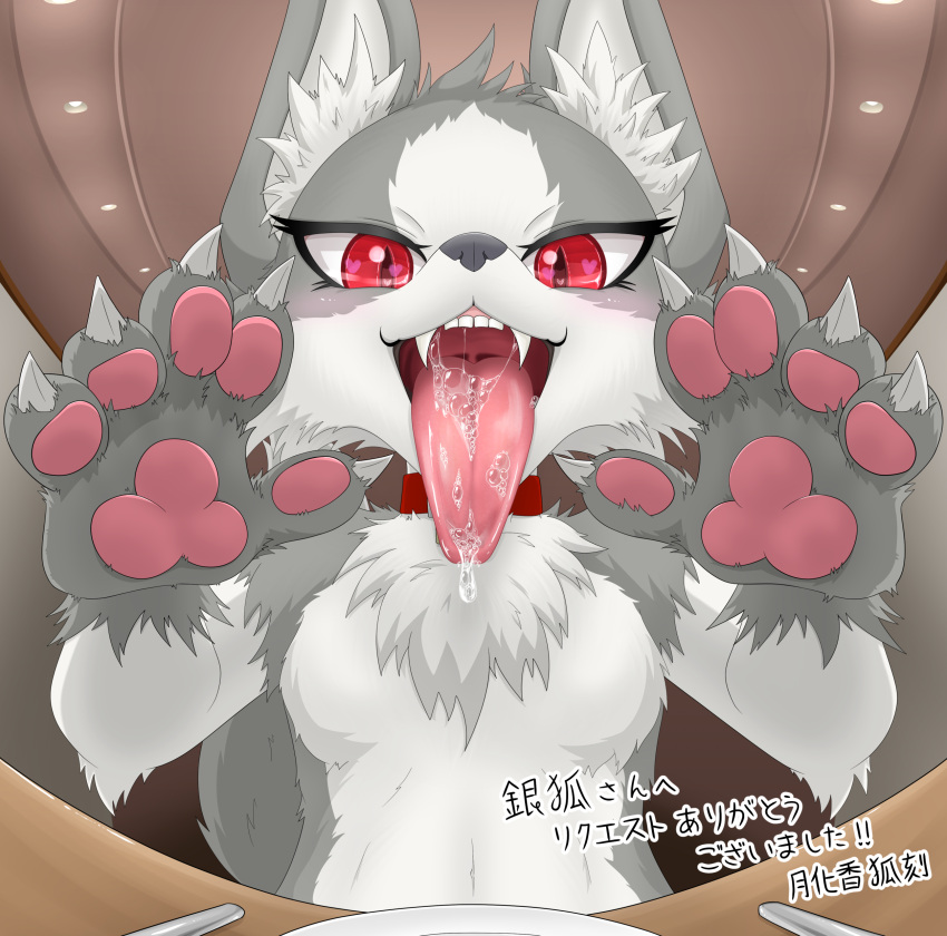 2022 5_fingers absurd_res anthro blush bodily_fluids breasts canid canine canis claws fangs featureless_breasts female female_anthro finger_claws fingers fur grey_body grey_fur hi_res japanese_text kemono looking_at_viewer low-angle_view mammal mouth_shot open_mouth pawpads paws red_eyes saliva solo teeth text tongue tongue_out translation_request tuberosekotoki white_body white_fur wolf