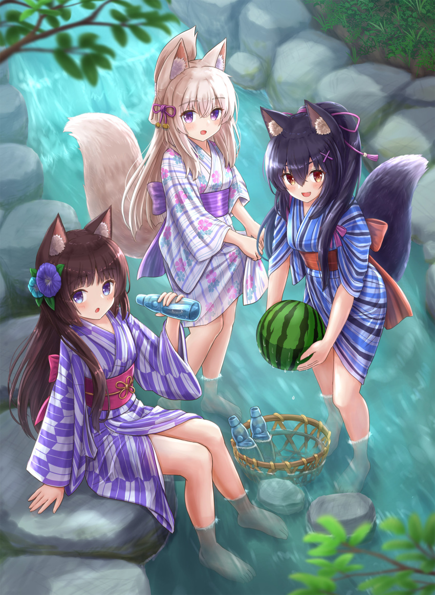 3girls :d absurdres animal_ear_fluff animal_ears barefoot black_hair blue_eyes blue_flower blush bottle brown_eyes brown_hair cat_ears commentary_request day fang flower folded_ponytail food fox_ears fox_girl fox_tail fruit hair_flower hair_ornament hairclip highres holding holding_bottle holding_food iroha_(iroha_matsurika) japanese_clothes kimono kimono_hold koyoi_(iroha_(iroha_matsurika)) kunoichi-chan_(iroha_(iroha_matsurika)) long_hair long_sleeves multiple_girls mutsuki_(iroha_(iroha_matsurika)) obi original outdoors purple_eyes ramune river sash smile standing stream striped striped_kimono tail tasuki vertical-striped_kimono vertical_stripes very_long_hair wading water watermelon wide_sleeves wolf_ears wolf_girl wolf_tail x_hair_ornament yagasuri yukata