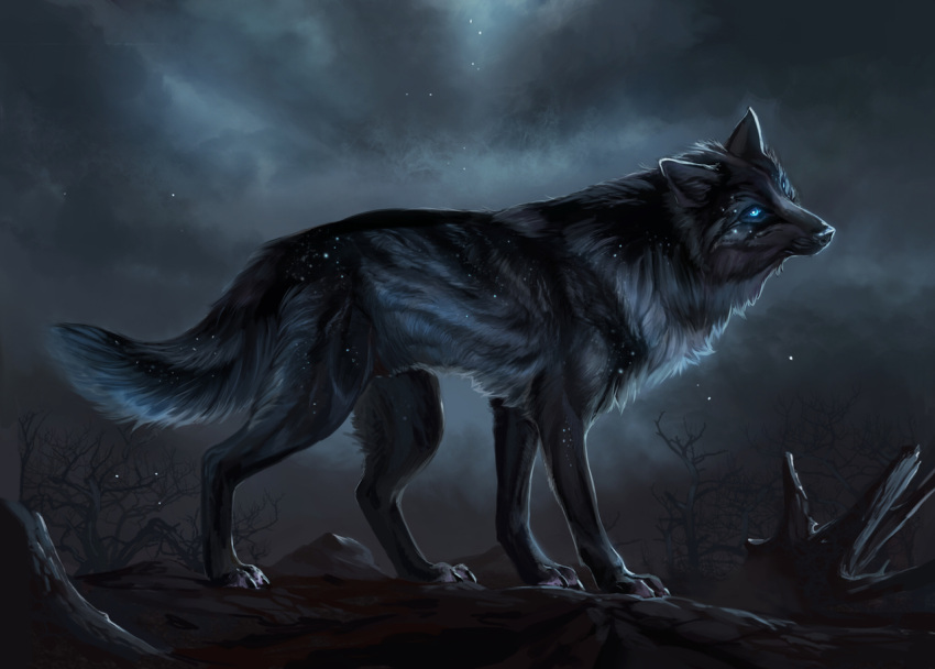 2022 ambiguous_gender black_body black_fur blue_eyes canid canine canis claws detailed_background digital_media_(artwork) feral fur mammal muns11 night outside paws solo wolf