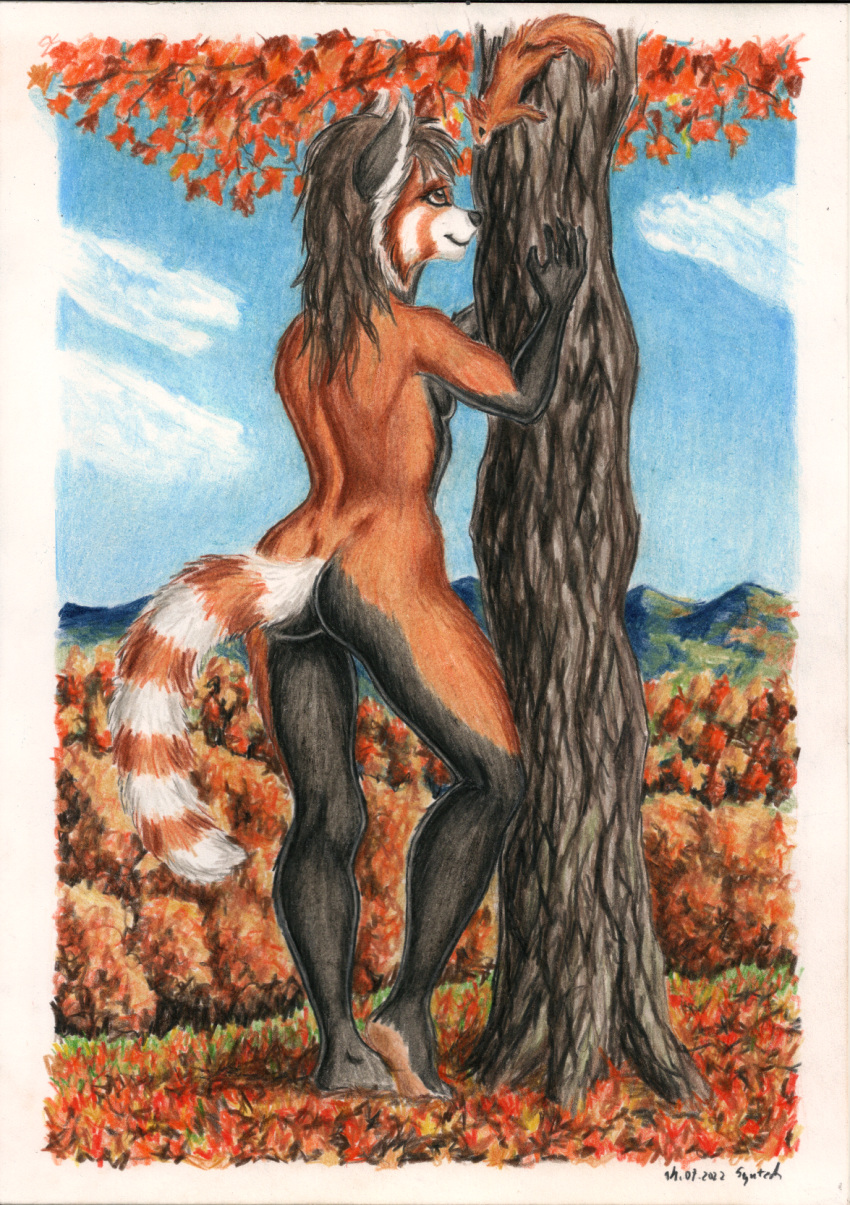 ailurid anthro autumn butt casual_nudity eye_contact female feral hi_res leaf looking_at_another mammal nude plant plantigrade red_panda rodent sciurid sky solo standing syntech traditional_media_(artwork) tree