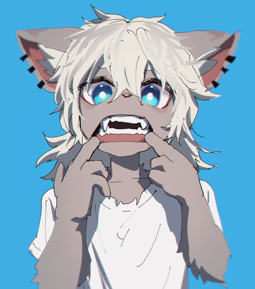 ambiguous_gender anthro bangs blue_background blue_eyes clothed clothing ddu_open domestic_cat ear_piercing ear_ring fangs felid feline felis fur grey_body grey_fur hair hi_res inner_ear_fluff kemono looking_at_viewer mammal medium_hair messy_hair piercing pulling_mouth pupils ring_piercing shirt simple_background solo t-shirt teeth topwear tuft upper_body white_clothing white_hair white_pupils white_shirt white_topwear