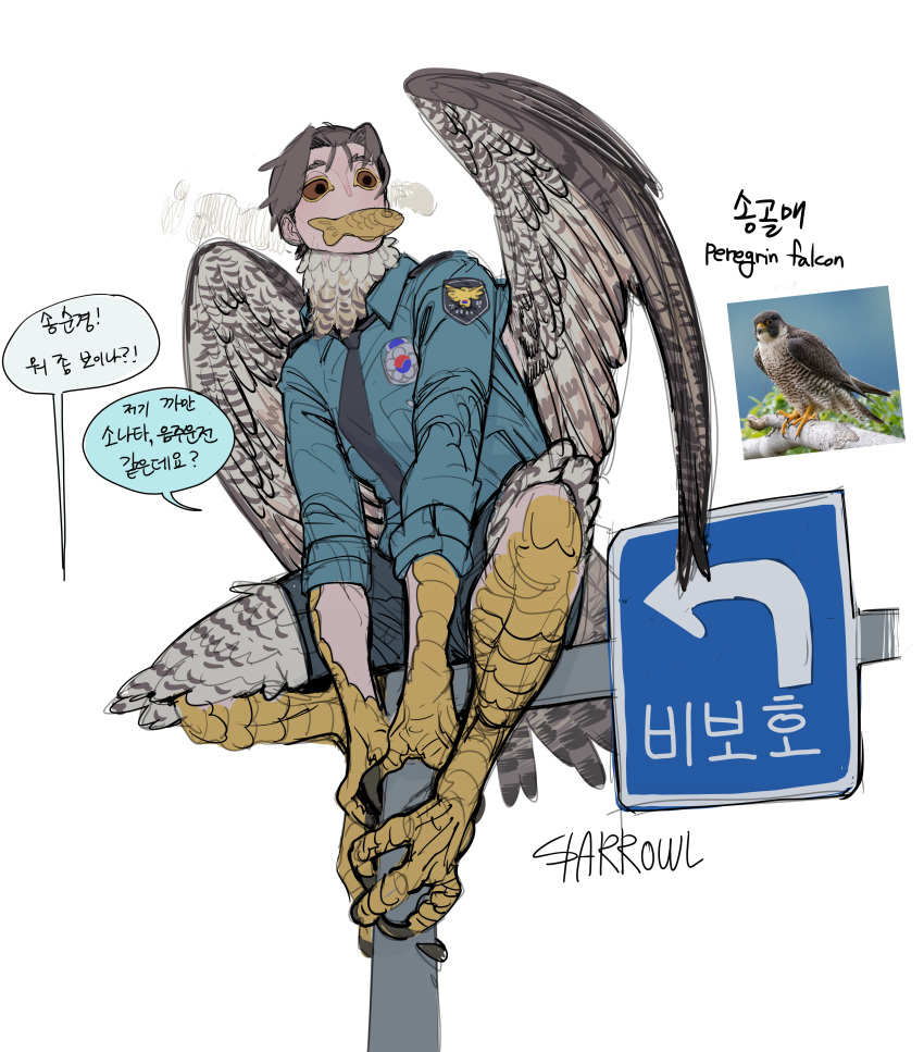 2022 absurd_res anthro avian bird brown_eyes brown_wings clothed clothing english_text falcon falconid feathers food_in_mouth hi_res korean_text male necktie peregrine_falcon shirt signature simple_background solo sparrowl speech_bubble text topwear traffic_sign white_background wings