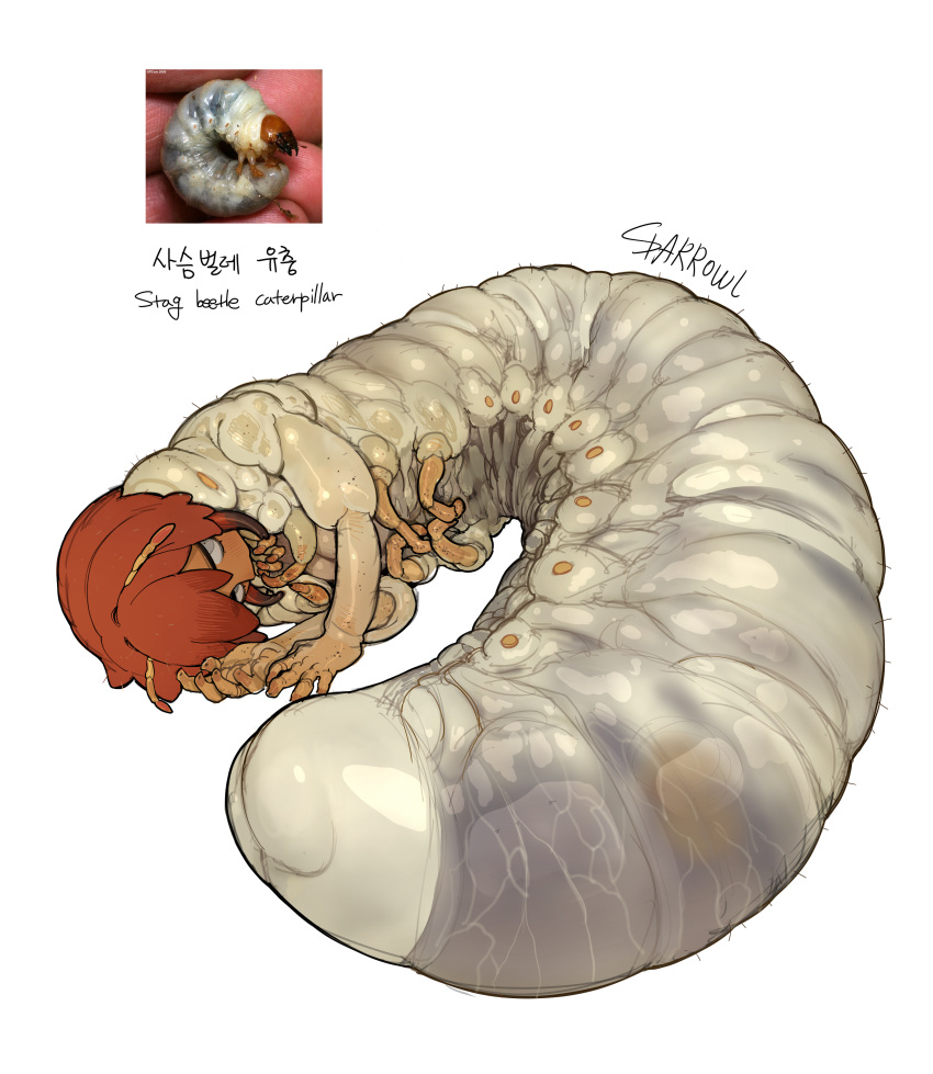 2022 absurd_res antennae_(anatomy) anthro arthropod brown_hair english_text female grey_eyes grub_(insect) hair hi_res insect korean_text larva nightmare_fuel signature simple_background solo sparrowl text what_has_science_done white_background white_body