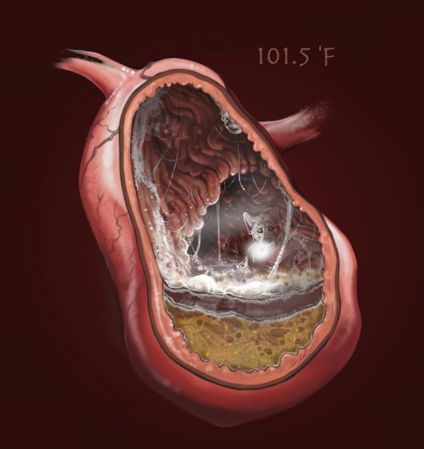 alekthebeasty ambiguous_gender ambiguous_pred ambiguous_prey anatomically_correct anthro anthro_prey bodily_fluids canid canine canis digestion dripping fur glistening grey_body grey_fur guts heat_(temperature) hi_res inside_stomach internal invalid_tag larger_ambiguous larger_pred looking_down macro mammal micro organs partially_submerged prey_focus saliva saliva_on_ear saliva_on_head saliva_string simple_background size_difference slime smaller_prey smelly solo steam stomach stomach_acid text text_in_background unseen_character vore warm waterline_view wet wet_body wet_fur wolf