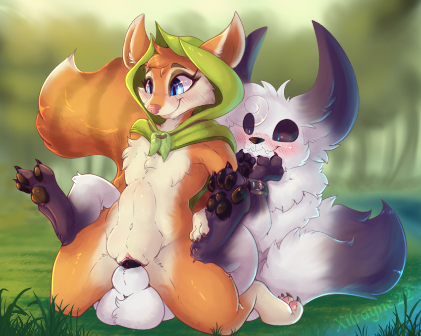 anthro arctic_fox balls bulge canid canine darwin_(oc) dota duo female feral fox genitals hoodwink_(dota) knot knotting male male/female mammal restraints rodent sciurid tree_squirrel video_games xilrayne