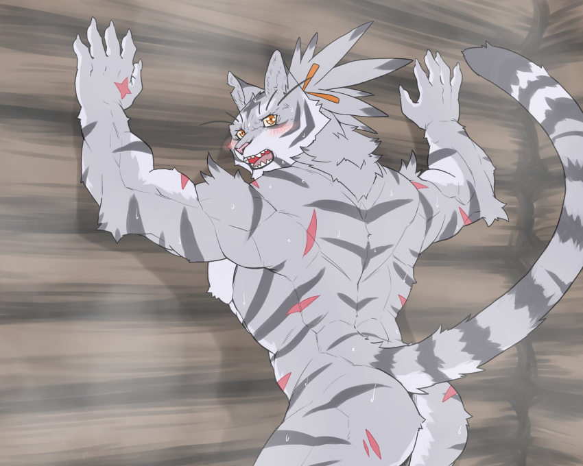 anthro felid hi_res male mammal markings muscular muscular_anthro muscular_male nimbus_(world_flipper) nude pantherine scar solo tiger world_flipper