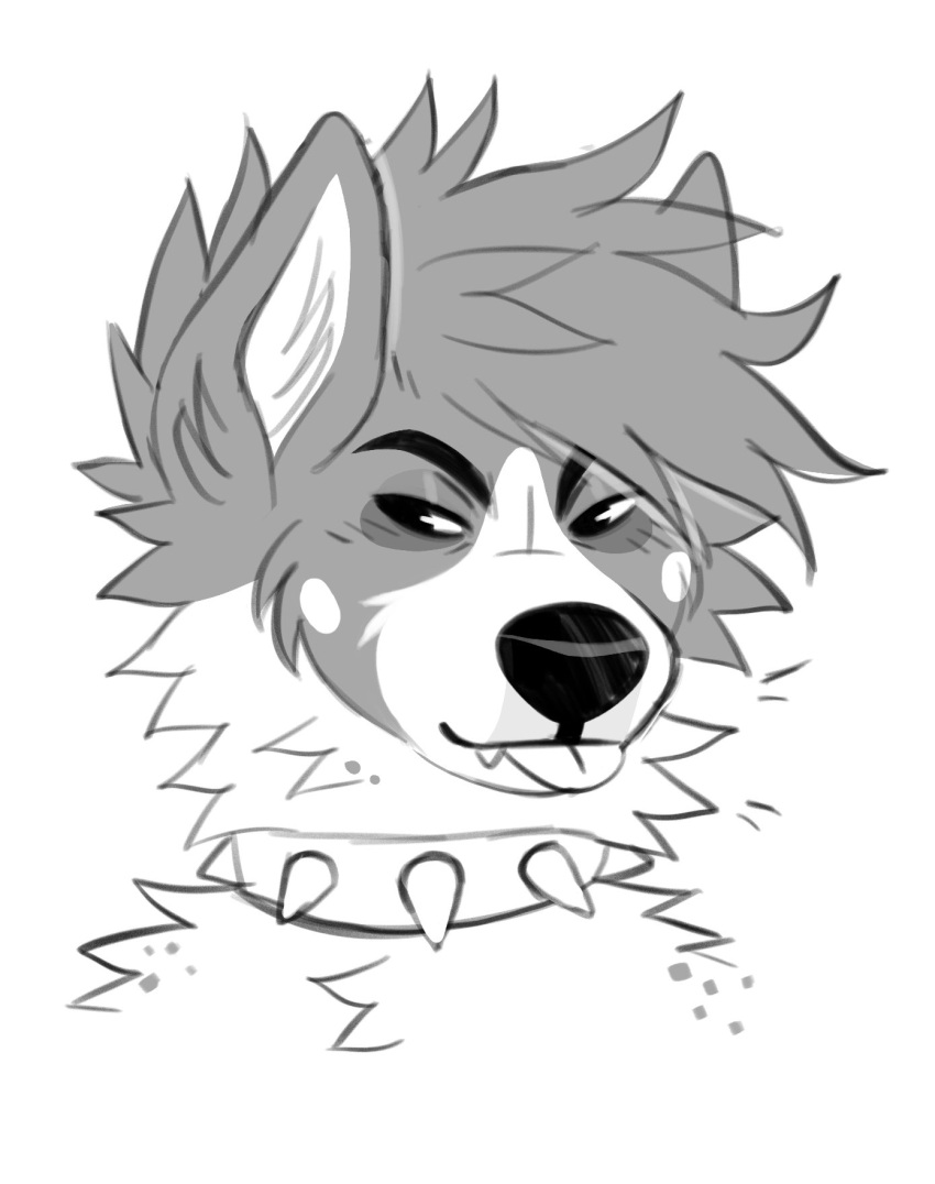 anthro blep canid cheek_tuft collar eyebrows facial_tuft fangs front_view headshot_portrait hi_res inner_ear_fluff kaden_(princelykaden) looking_aside male mammal monochrome neck_tuft portrait princelykaden simple_background solo spiked_collar spikes tongue tongue_out tuft