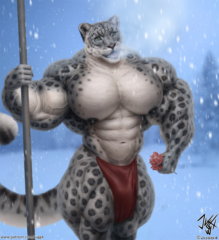 anthro big_pecs bottomwear clothing felid flower hi_res jugg4 loincloth male mammal muscular muscular_anthro pantherine pecs plant snow snow_leopard snowing solo