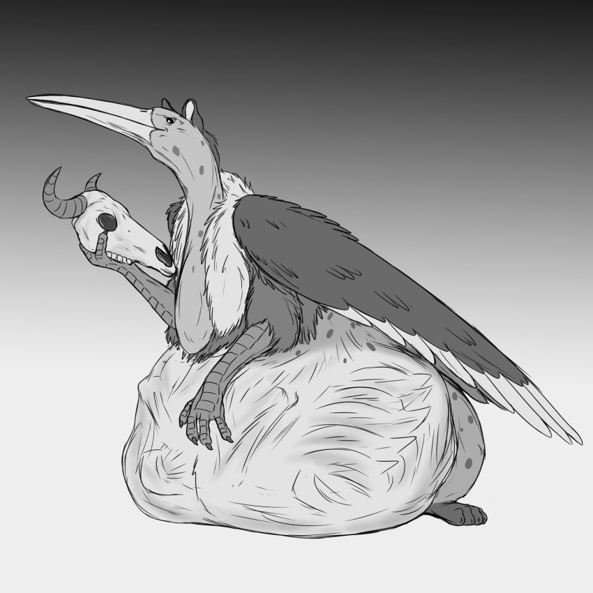 after_vore avian bone digestion feral greyscale gryphon gryphon_pred hi_res holding_skull male marabou_stork monochrome mythological_avian mythology skull solo thatgryphonguy vore wings