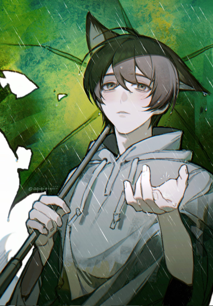 1boy animal_ears aqiqiqiqi black_eyes black_hair cloak e.g.o_(project_moon) fox_boy fox_ears hand_up highres holding holding_umbrella hood hood_down hooded_cloak limbus_company looking_up project_moon rain solo umbrella upper_body white_cloak yi_sang_(project_moon)