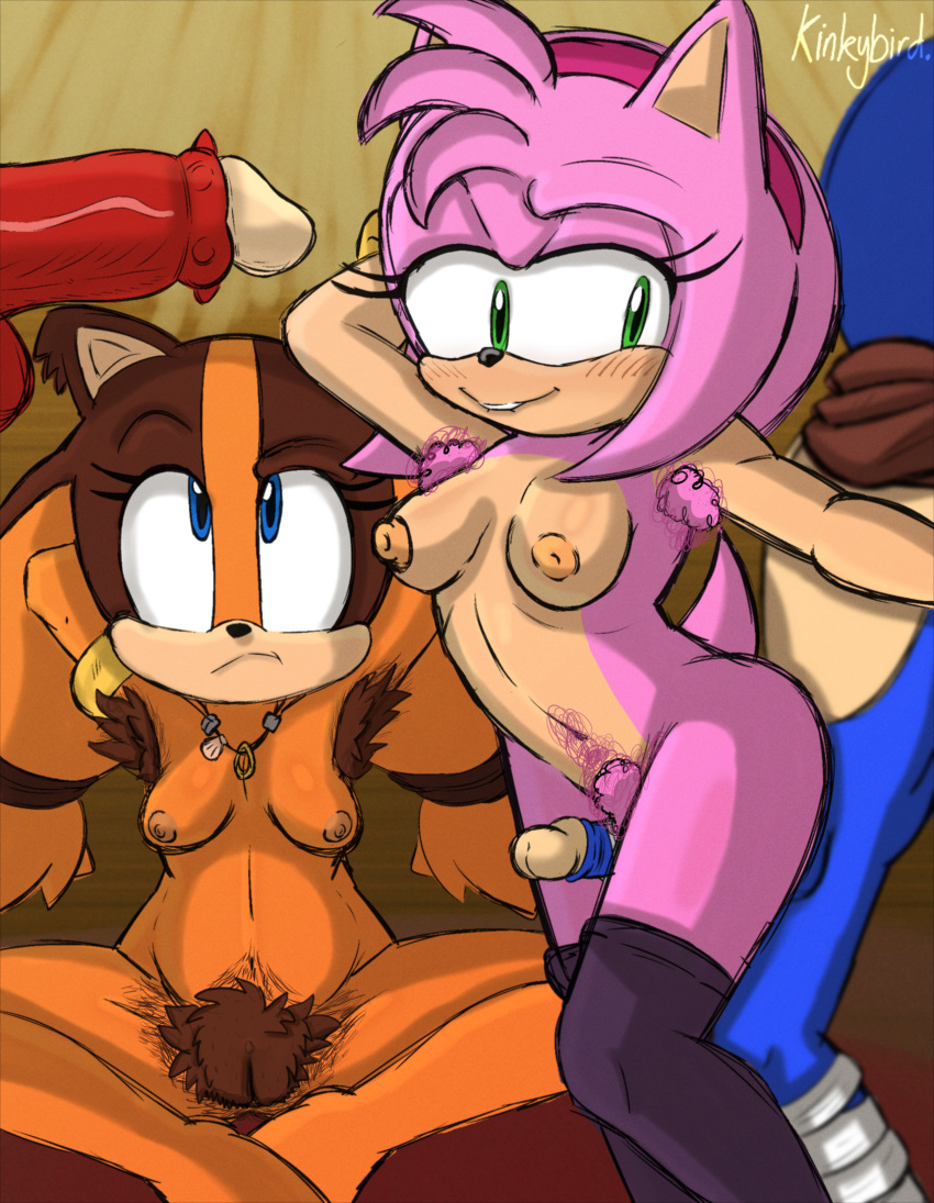 amy_rose anthro armpit_hair badger big_pubes bite biting_lip blush body_hair breasts clothing disembodied_penis echidna edit eulipotyphlan faceless_character faceless_male female frown genitals group hairy hairy_pussy hedgehog hi_res kinkybird knuckles_the_echidna legwear male male/female mammal monotreme mustelid musteline nude penis pubes pussy sega sex sketch small_breasts sonic_boom sonic_the_hedgehog sonic_the_hedgehog_(series) sticks_the_jungle_badger thigh_highs thigh_sex