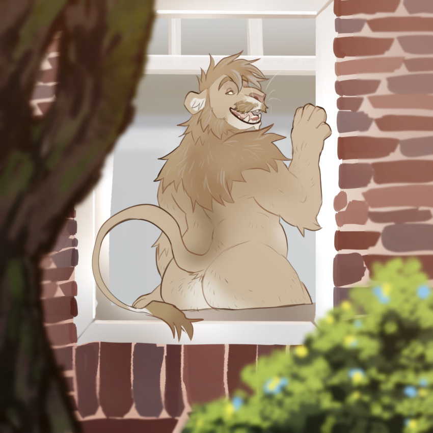 absurd_res anthro brick_wall butt facial_hair felid hi_res keith_(aejann) likanen lion looking_back male mammal mature_male mustache nude open_mouth pantherine plant presenting presenting_hindquarters raised_tail slightly_chubby solo tree wall_(structure) window window_sill yellow_eyes