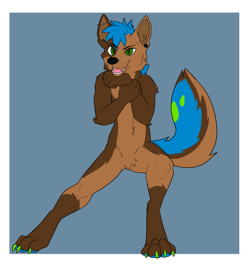 anthro barbell_piercing black_ear_piercing black_nose blue_background blue_body blue_fur blue_pawpads blue_tail brown_body brown_ears brown_fur brown_inner_ear brown_tail canid cheek_tuft claws crotch_tuft ear_piercing elbow_tuft facial_tuft fangs featureless_crotch front_view fur gauged_ear green_body green_claws green_eyes green_fur green_tail grey_barbell_piercing grey_ear_piercing grey_piercing hi_res industrial_piercing male mammal martinballamore open_mouth pawpads piercing pink_tongue shoulder_tuft simple_background solo standing toe_claws tongue tuft